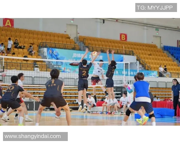 2026排球配合排名：北京排球队创新高